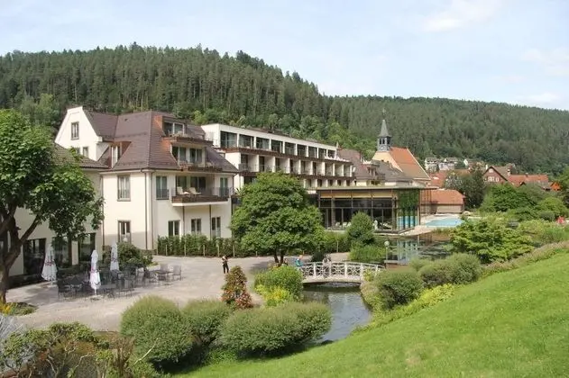 Hotel Therme Bad Teinach - 1