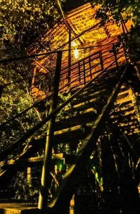Thick forest sigiriya