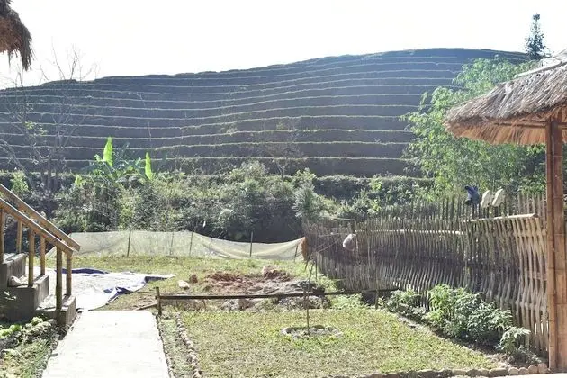 Thong Nguyen Homestay
