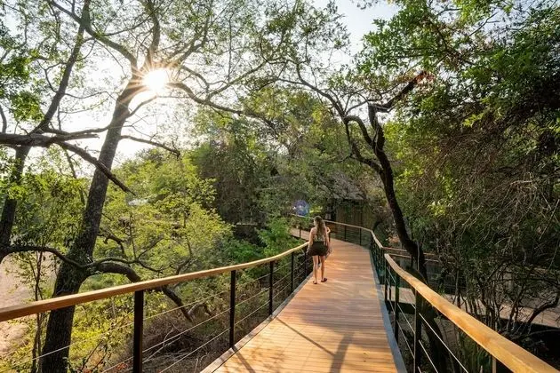 Thornybush Game Lodge - Dış Mekan