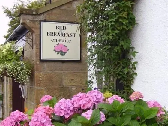 Thorpe Green House Vegetarian Bed and Breakfast - Dış Mekan
