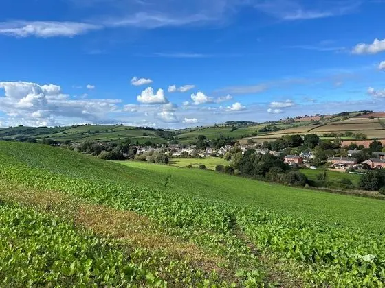 Thorverton Arms - Dış Mekan
