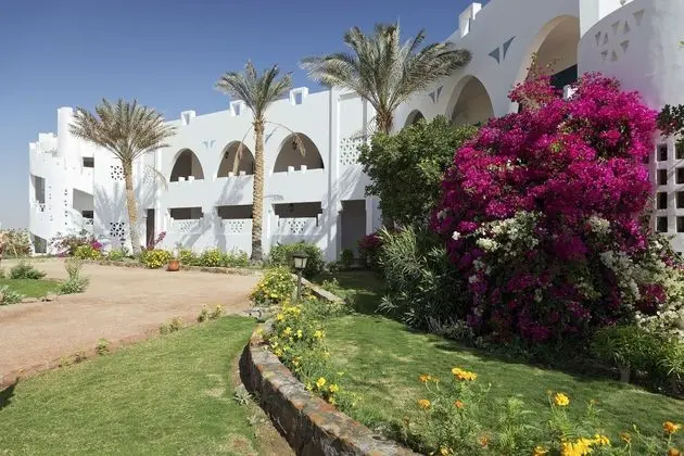 The Three Corners Equinox Beach Resort - Dış Mekan