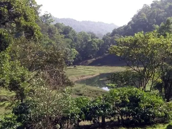 Three Hills Resort & Spa, Coorg - Dış Mekan