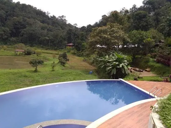 Three Hills Resort & Spa, Coorg - Havuz