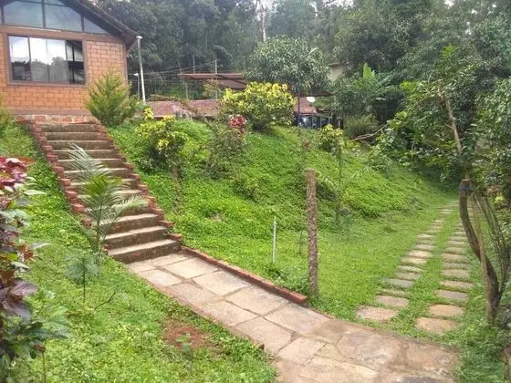 Three Hills Resort & Spa, Coorg - Lobi