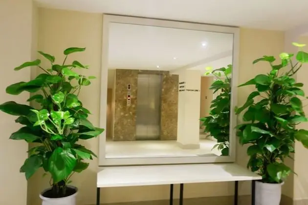 Thu Do Hotel Da Nang - Lobi