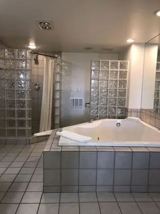 Thunderbird Motel - Banyo Tipleri
