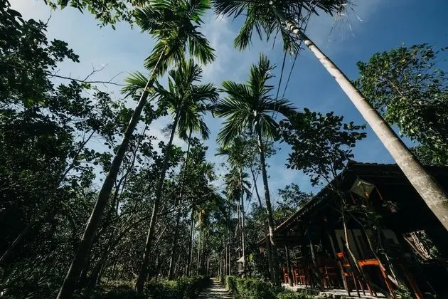 Thuy Bieu Homestay