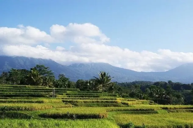 Ti Amo Bali - Dış Mekan