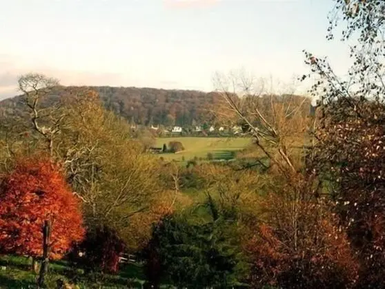 Tibbiwell Lodge - B&B - Dış Mekan