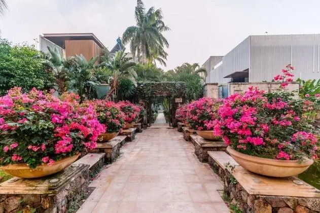 Tide Inn Sanya