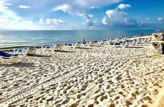 The Tides on the Beach by Aurich Designs - Plaj