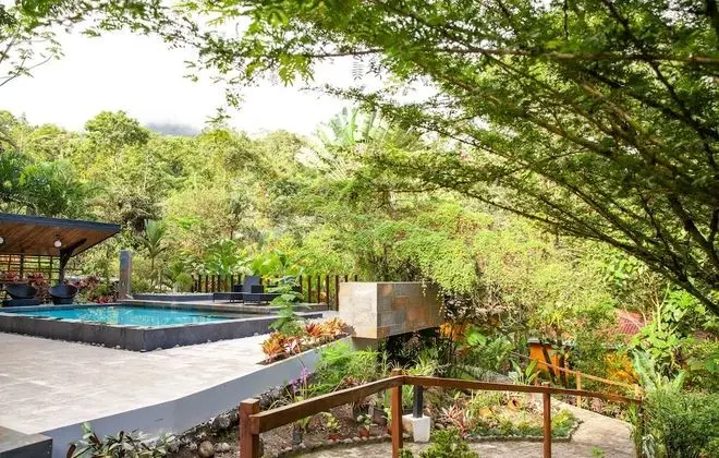 Tifakara Boutique Hotel & Birding Oasis - Havuz