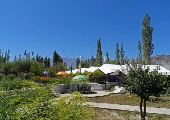 Tiger Camp
