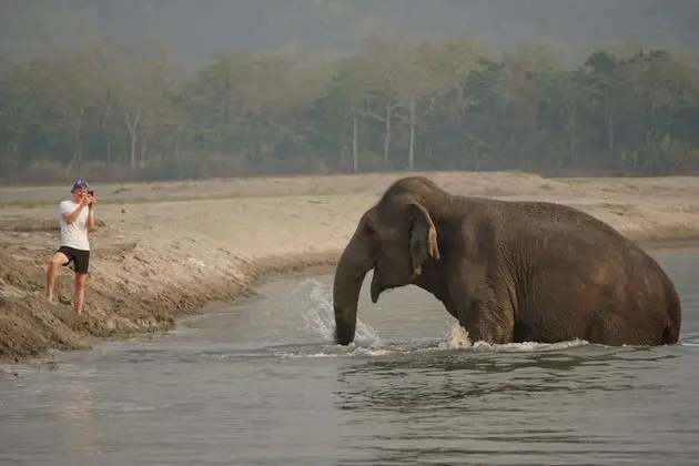Tiger Tops Tharu Lodge and Elephant Camp - Dış Mekan