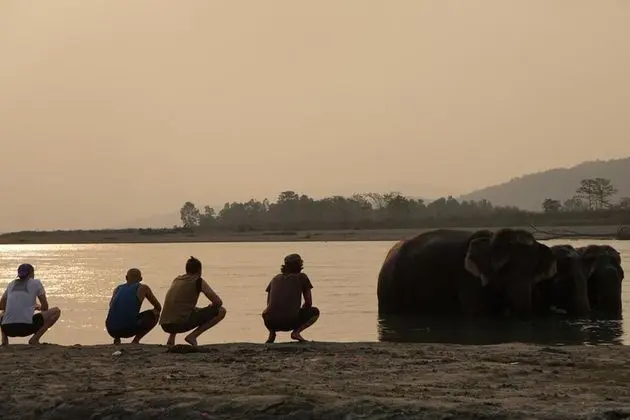 Tiger Tops Tharu Lodge and Elephant Camp - Plaj