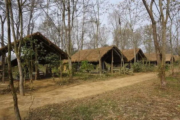 Tigertops Elephant Camp - Dış Mekan
