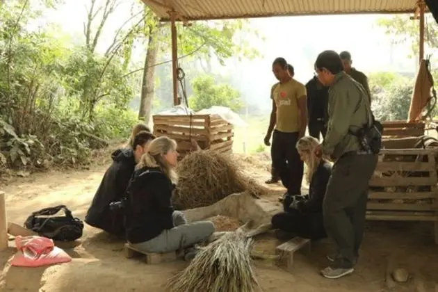 Tigertops Elephant Camp - İç Mekan