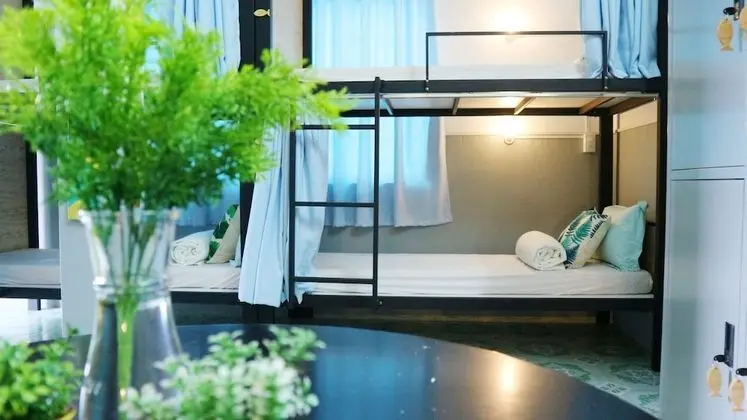 Tigonhouse Hostel