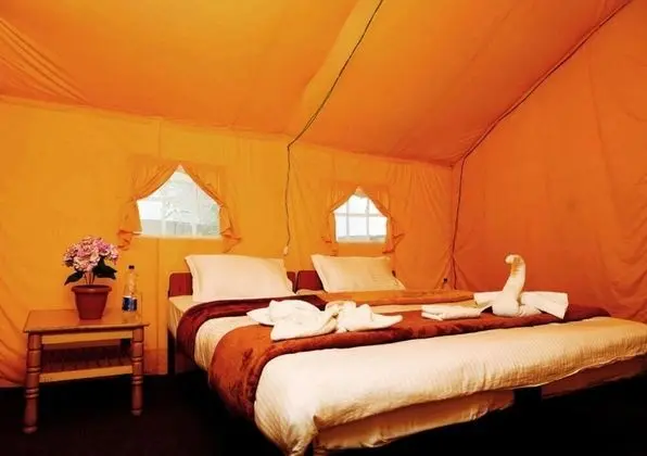TIH AlpenGlow Camp - Nubra - İç Mekan