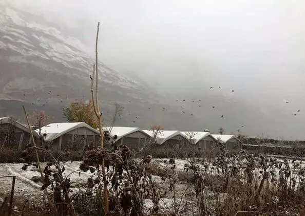 TIH Buckwheat Root Camp - Turtuk - Dış Mekan