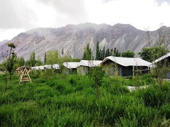 TIH Cold Desert Camp