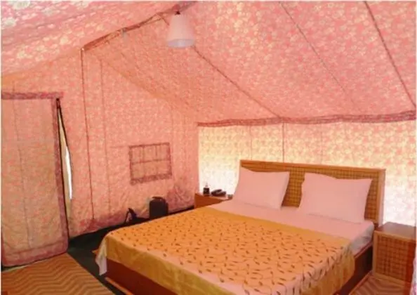 TIH Goodluck Camps and Guest House - Oda Manzaraları