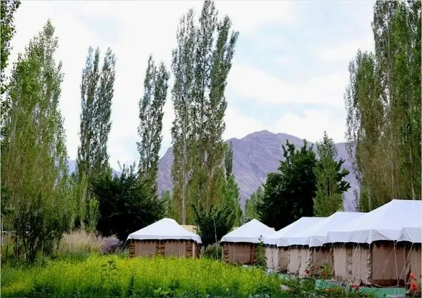 TIH Mystique Meadows Camp - Dış Mekan