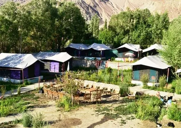 TIH Valley Flower Camp Nubra- Glamping - Dış Mekan