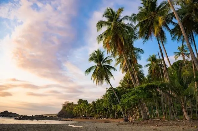 Tiki Villas Rainforest Lodge & Spa - Plaj