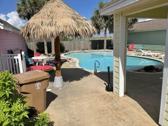 Tiki Turtle-14521