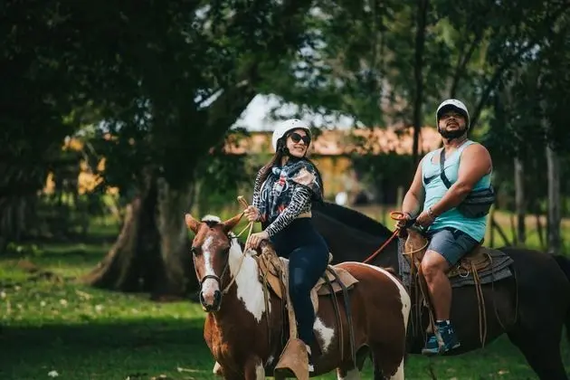 Tilajari Hotel Resort - Dış Mekan