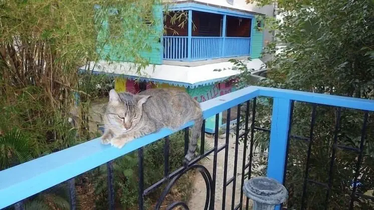 Tillett Gardens Guest House