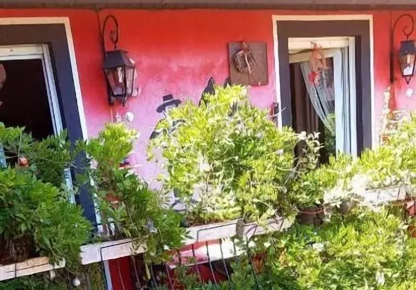 Tilly's B&B - Dış Mekan