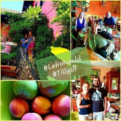 Tilly's B&B - Genel