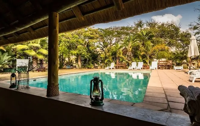 Timbavati Safari Lodge - Havuz