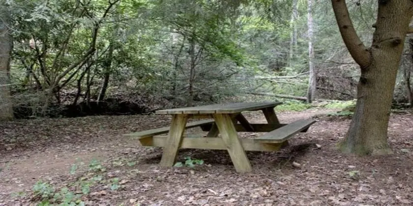 The Timber Cabin - Dış Mekan