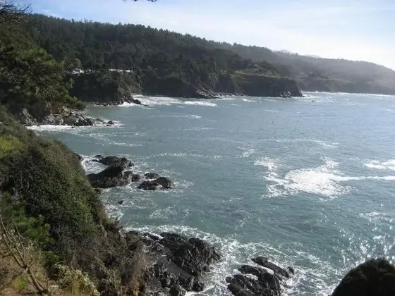 Timber Cove Resort - Plaj