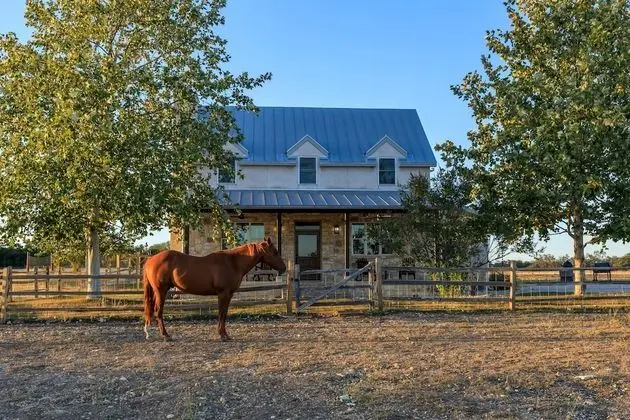TimberRose B&B