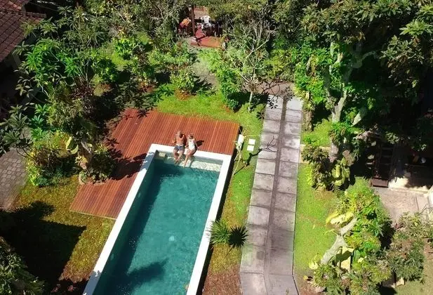 Timbis Homestay Bali - Havuz
