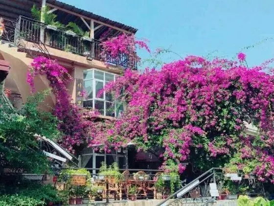 Time Inn Old Town Branch - Öne Çıkan Resim