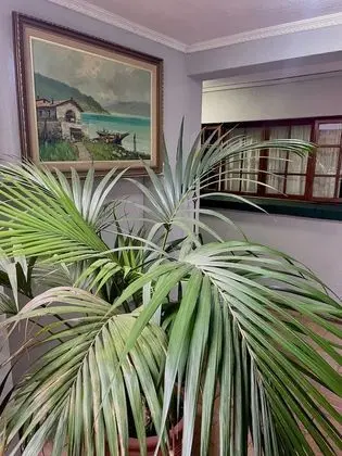 Timebridge Mansion - Lobi