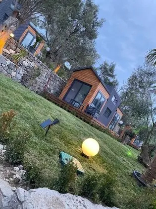 Tiny Bademli - Genel