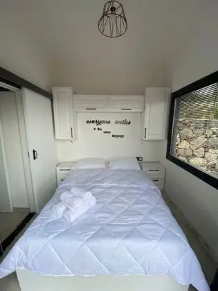 Tiny Bademli - Genel
