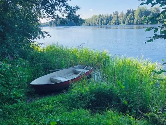 Tiny hut in the Forest Overlooking the River - Genel