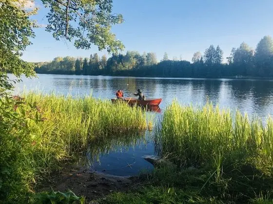Tiny hut in the Forest Overlooking the River - Plaj