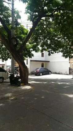 Tipolo Tree Serviced Apartments - Dış Mekan