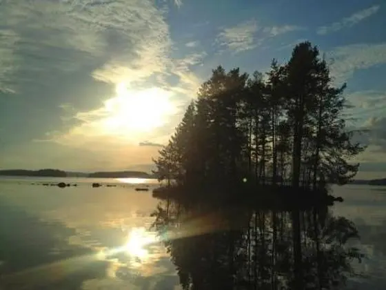 Tipuniemi H Meenlinna - Oda