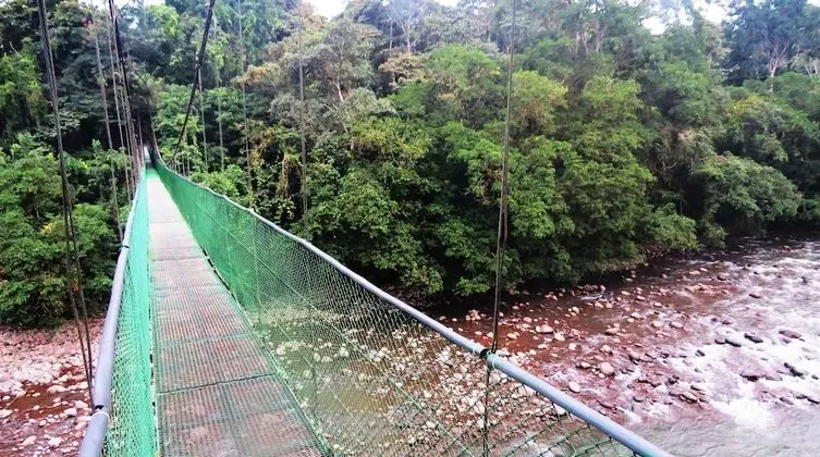 Tirimbina Rainforest Lodge - Dış Mekan